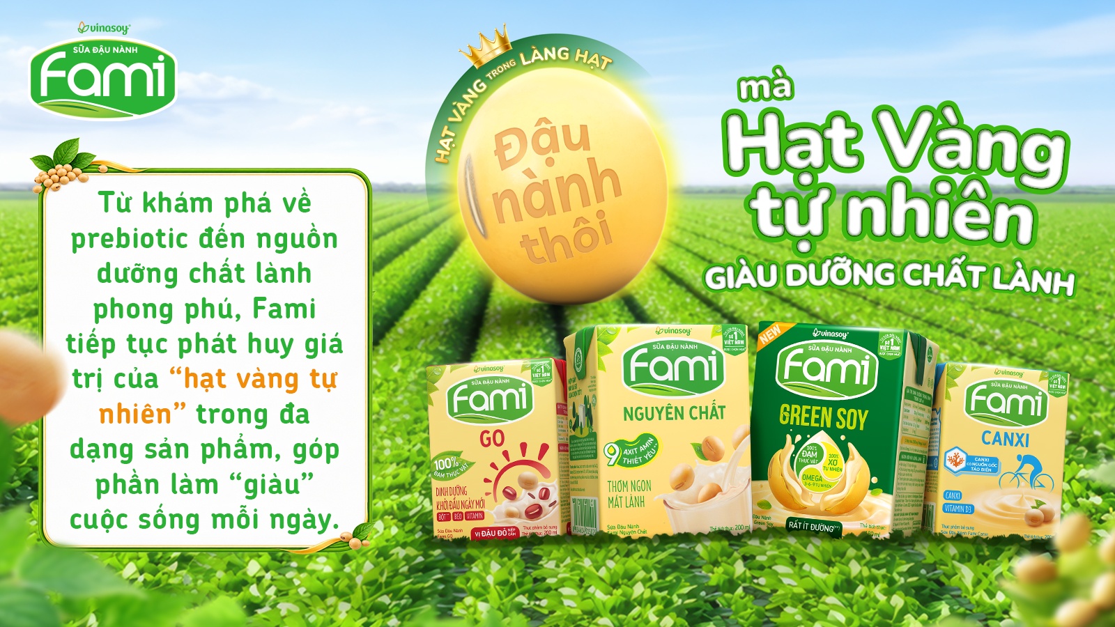 Đậu nành ảnh 4 Đậu nành ảnh 4