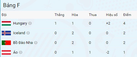 Hungary vs Bo Dao Nha anh 5