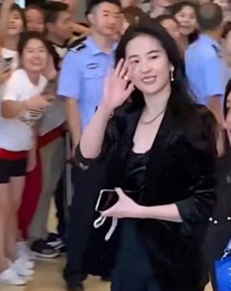 luu diec phi anh 1