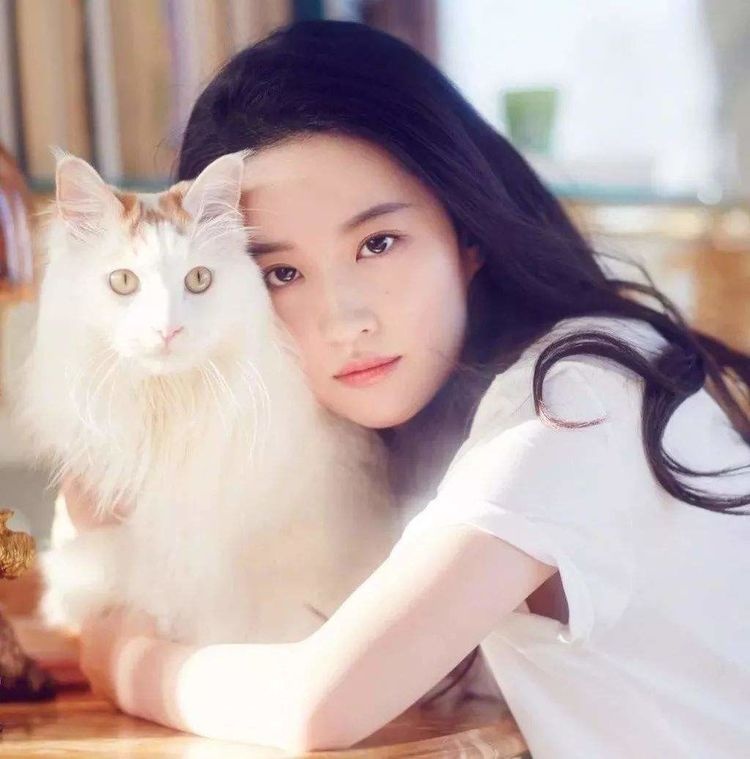 Luu Diec Phi anh 1