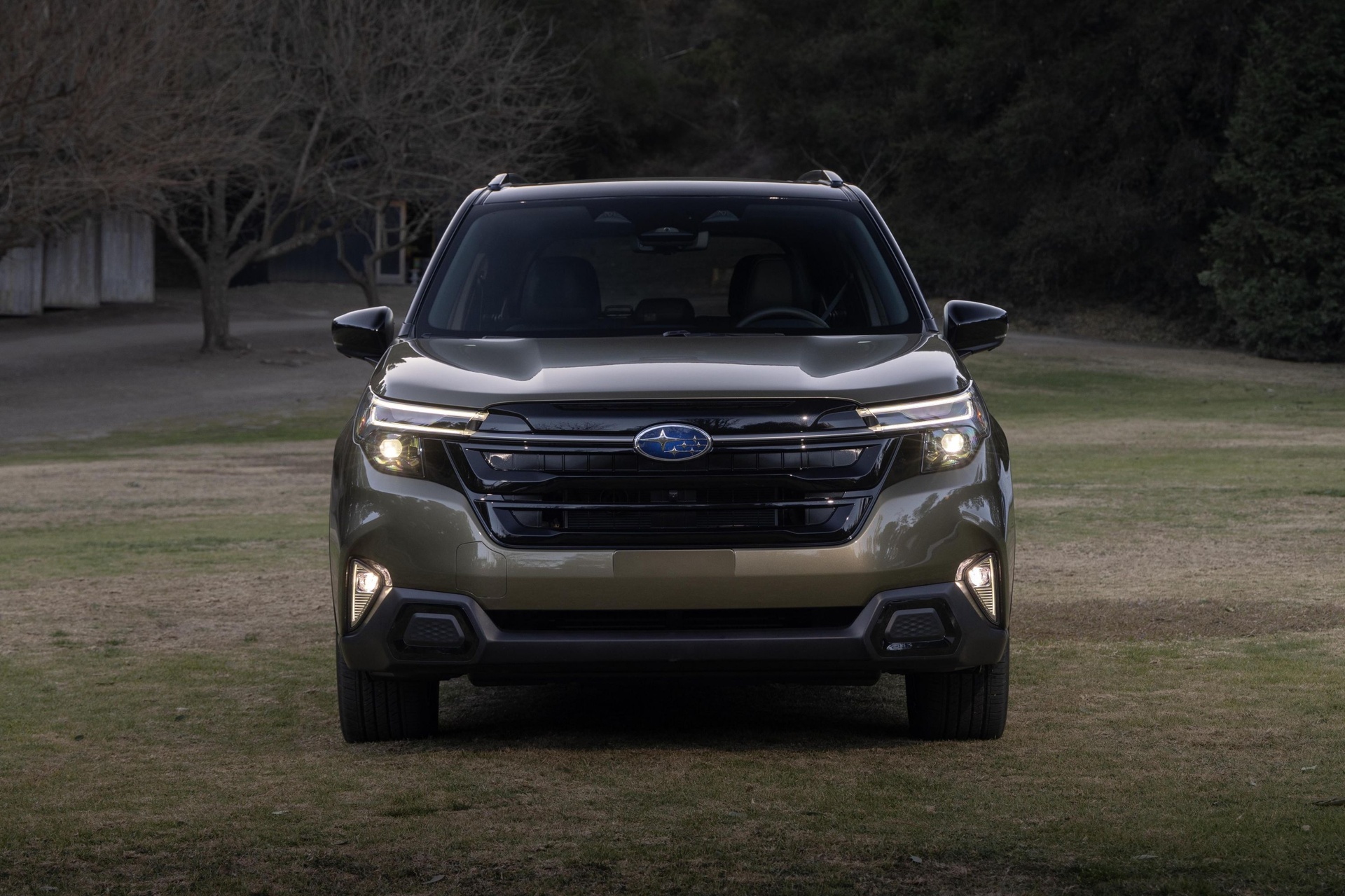 Subaru Forester Hybrid anh 12
