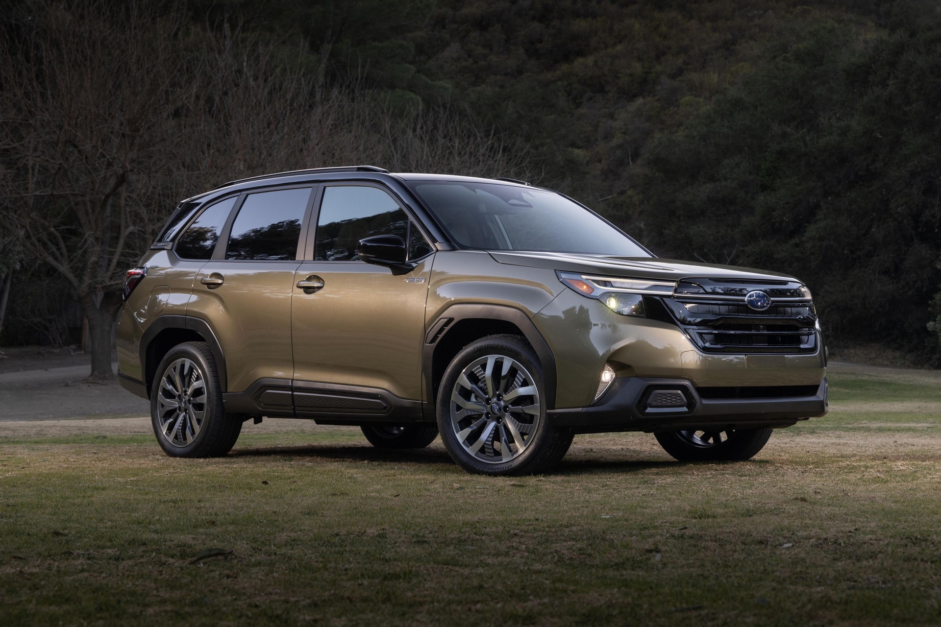 Subaru Forester Hybrid anh 6