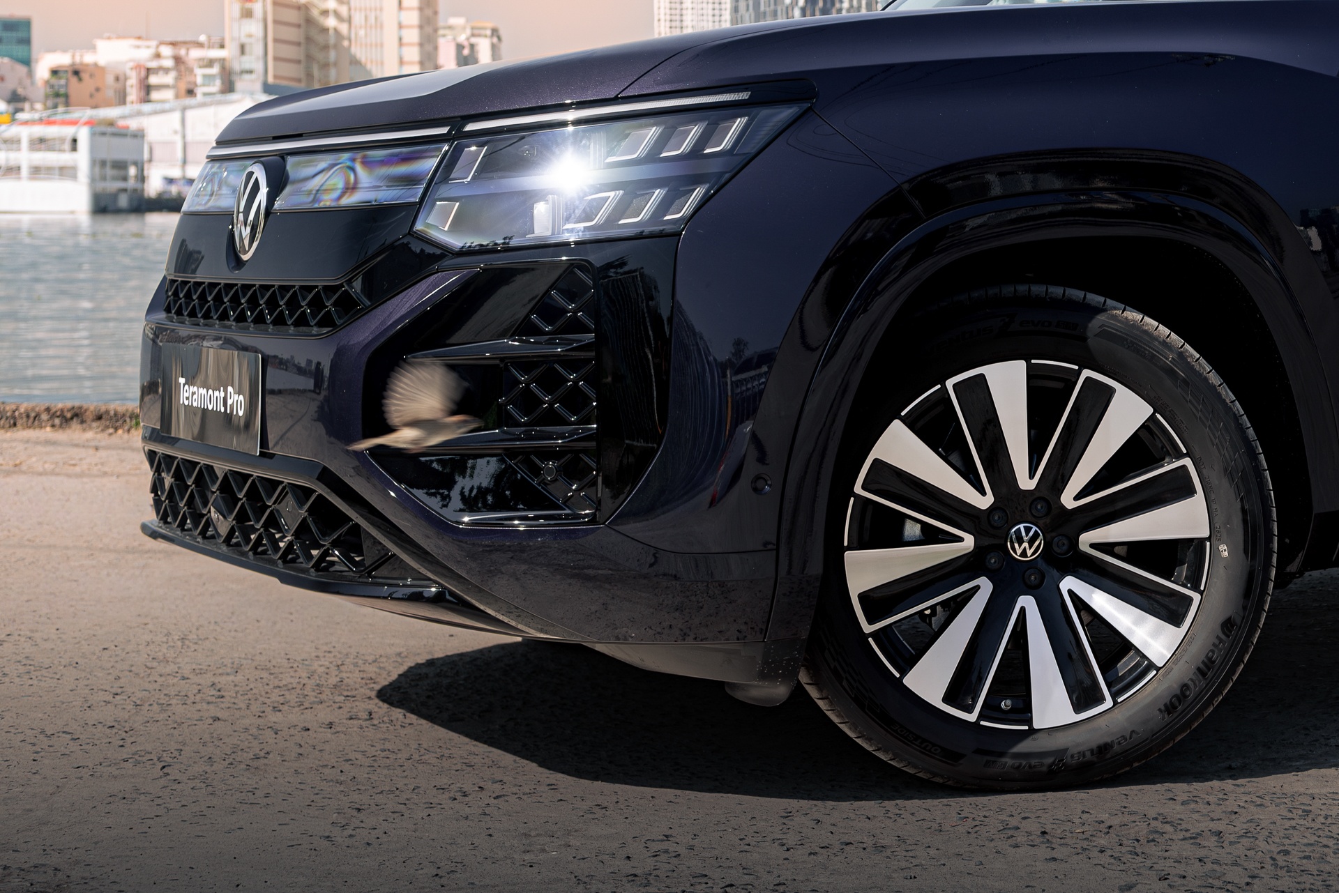 Volkswagen Teramont Pro anh 20