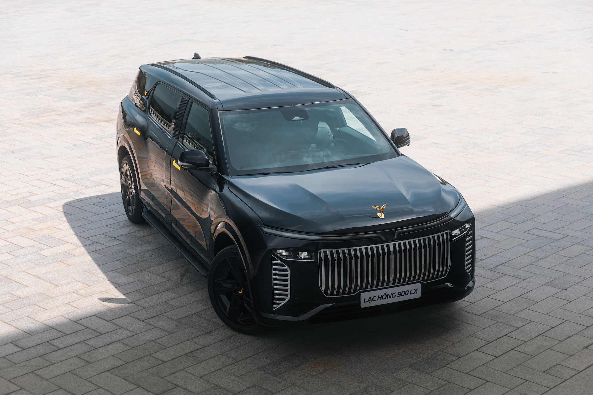 Lac Hong 900 LX anh 2