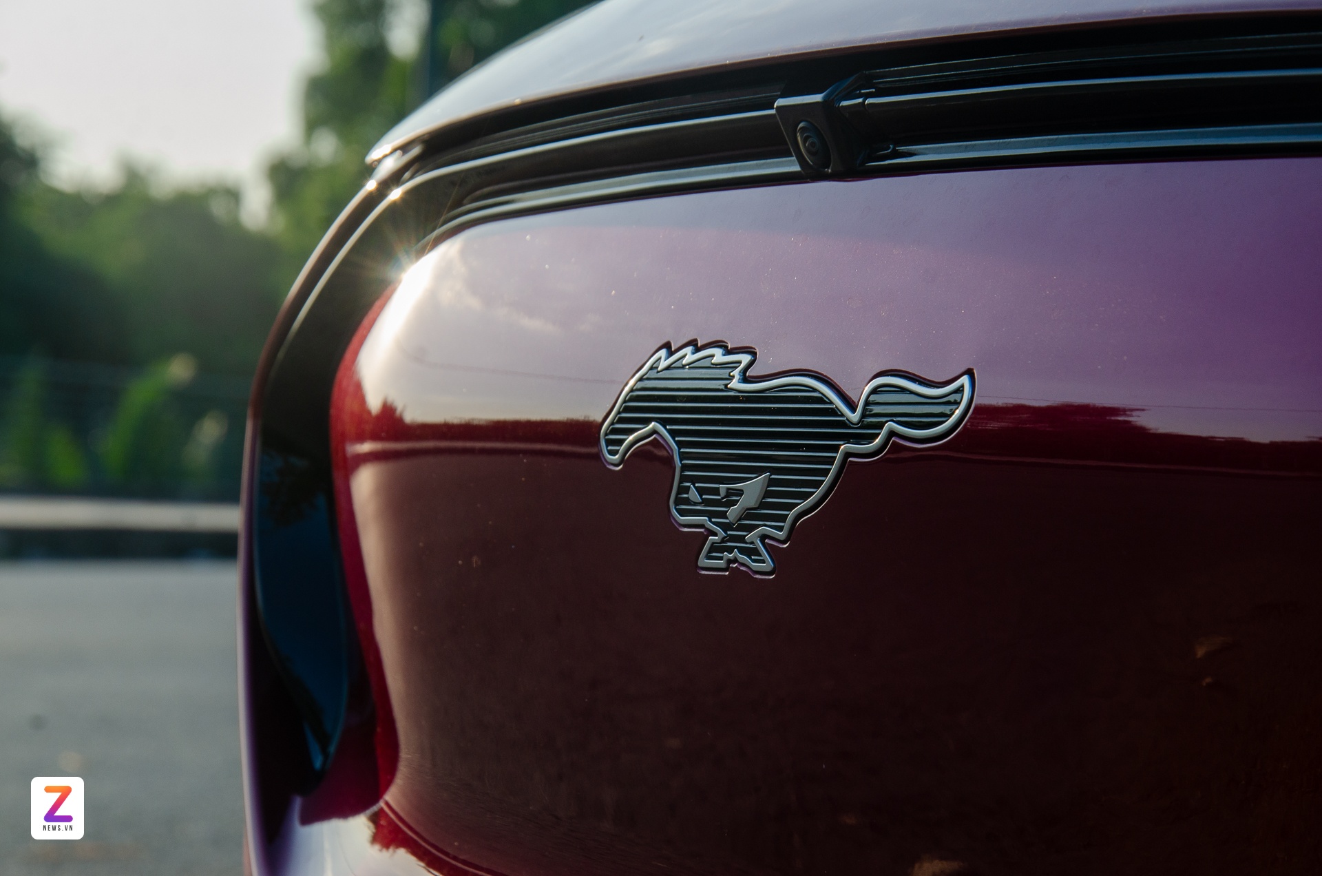 Ford Mustang Mach-E ảnh 10 Ford Mustang Mach-E anh 10