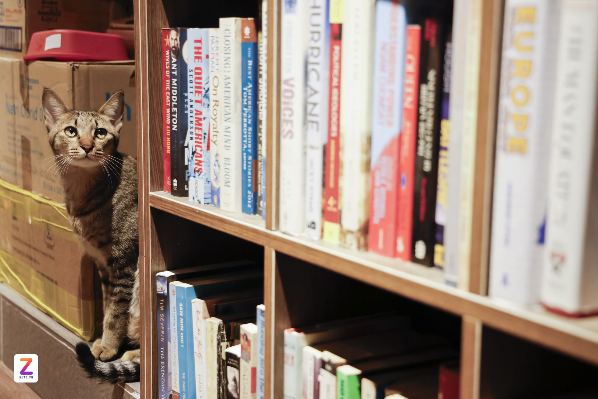 tiem sach ngoai van tphcm anh 14