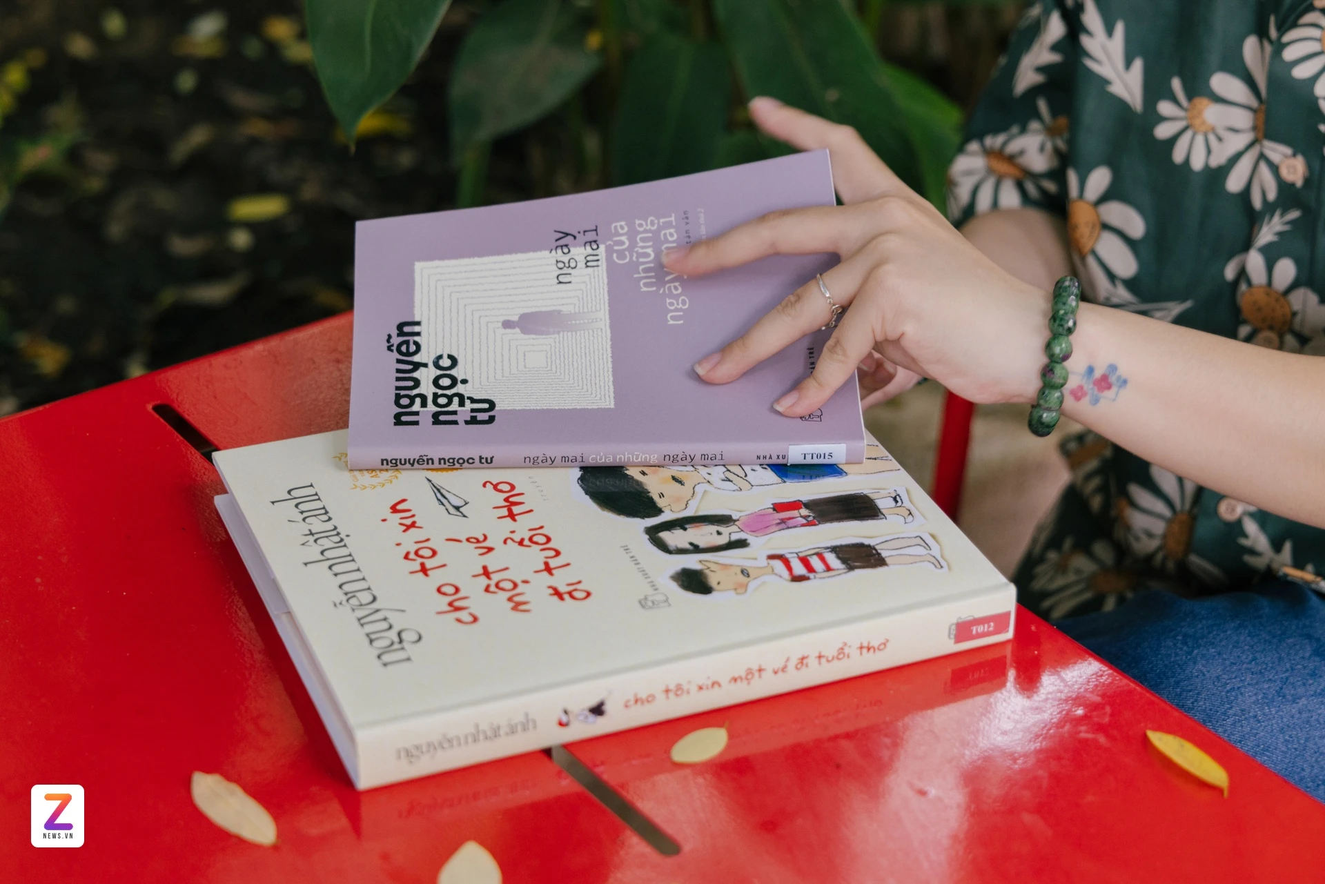 nhà văn hóa thanh niên ảnh 9