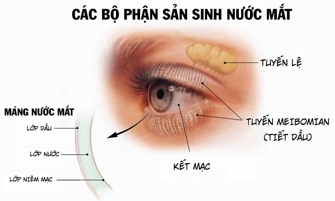 phong ngua kho mat anh 1