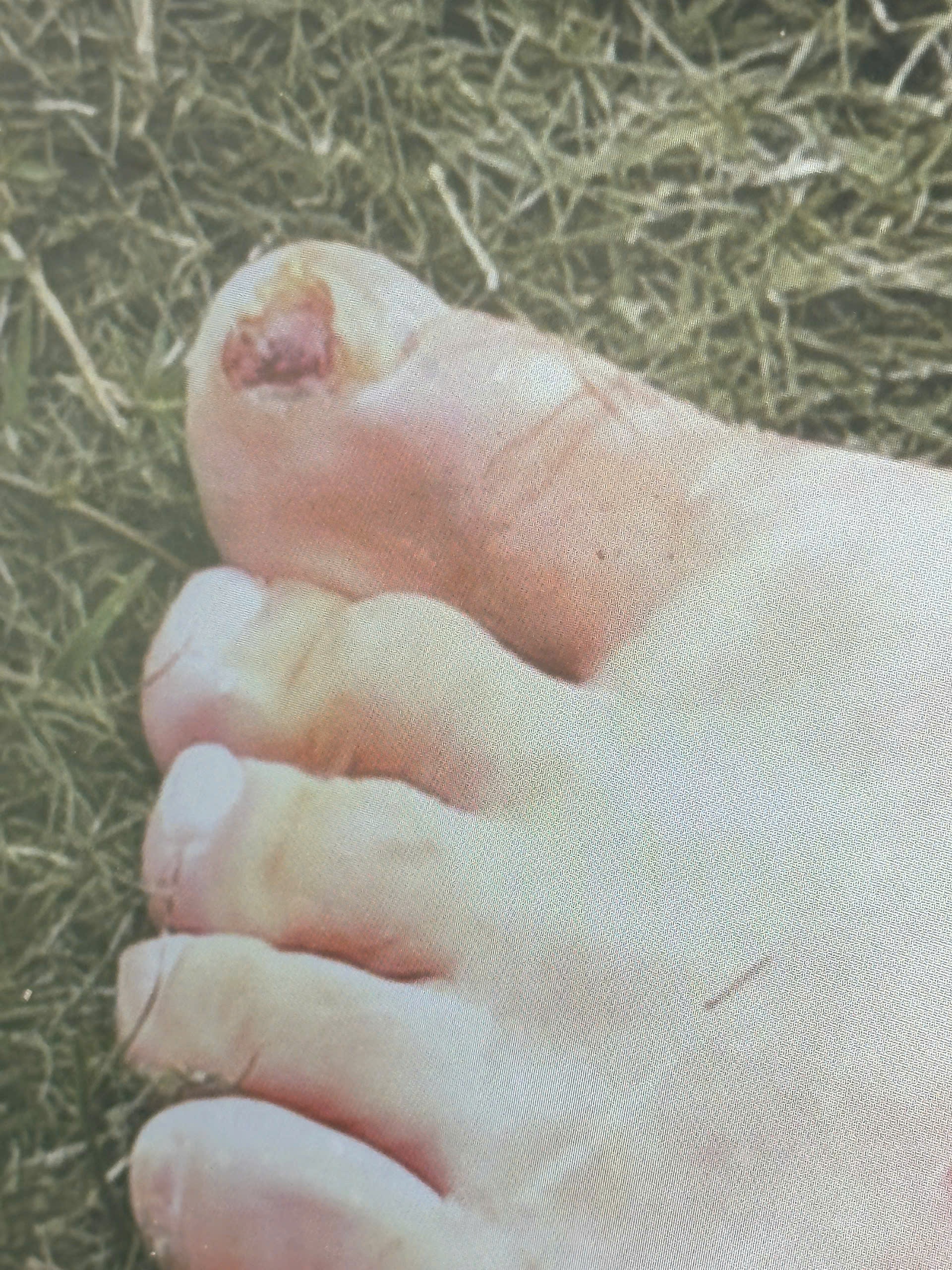 ĐT Việt Nam nhận tin dữ từ 2 trụ cột, HLV Kim Sang Sik 'ngồi tr&ecirc;n đống lửa' trước đại chiến Malaysia