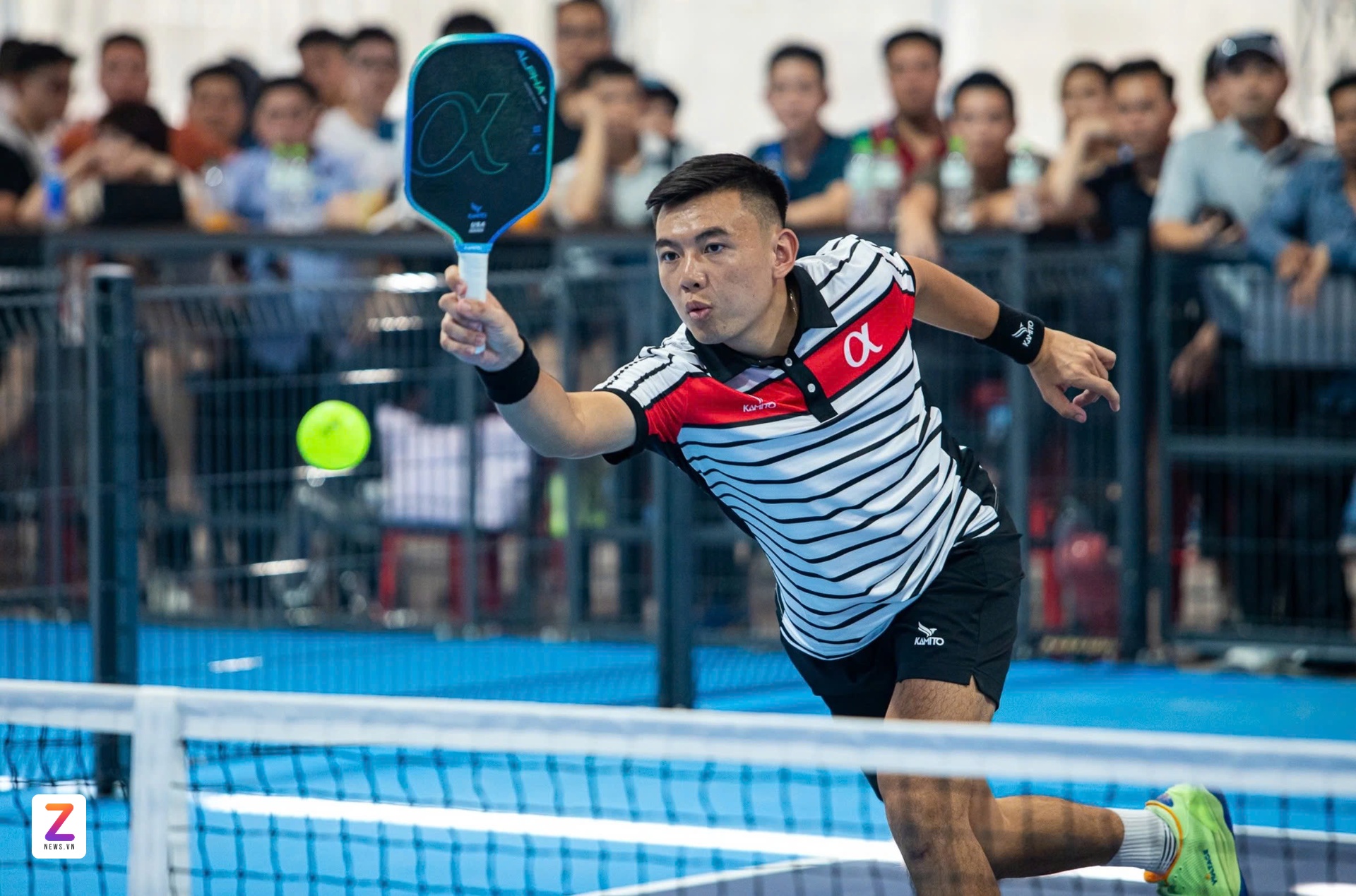 pickleball Viet Nam, phat trien pickleball, phong trao pickleball, pickleball chuyen nghiep, giai dau pickleball, tuong lai pickleball, ly hoang nam pickleball, lien doan pickleball Viet Nam, kinh doanh pickleball, san pickleball, pickleball chau A, san pham pickleball anh 2