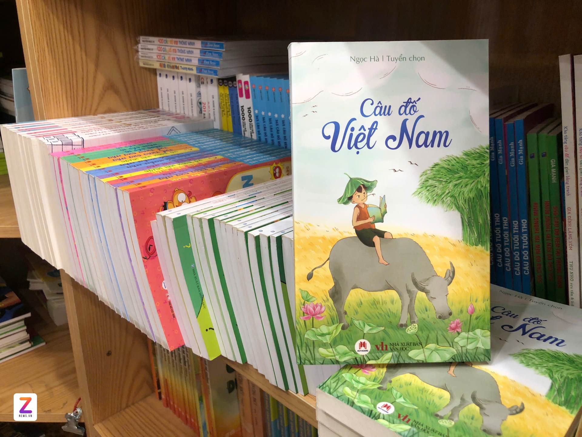 câu đố Việt Nam ảnh 1