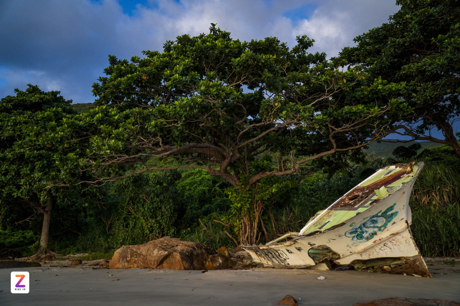 칼을 든 새벽 사진 11