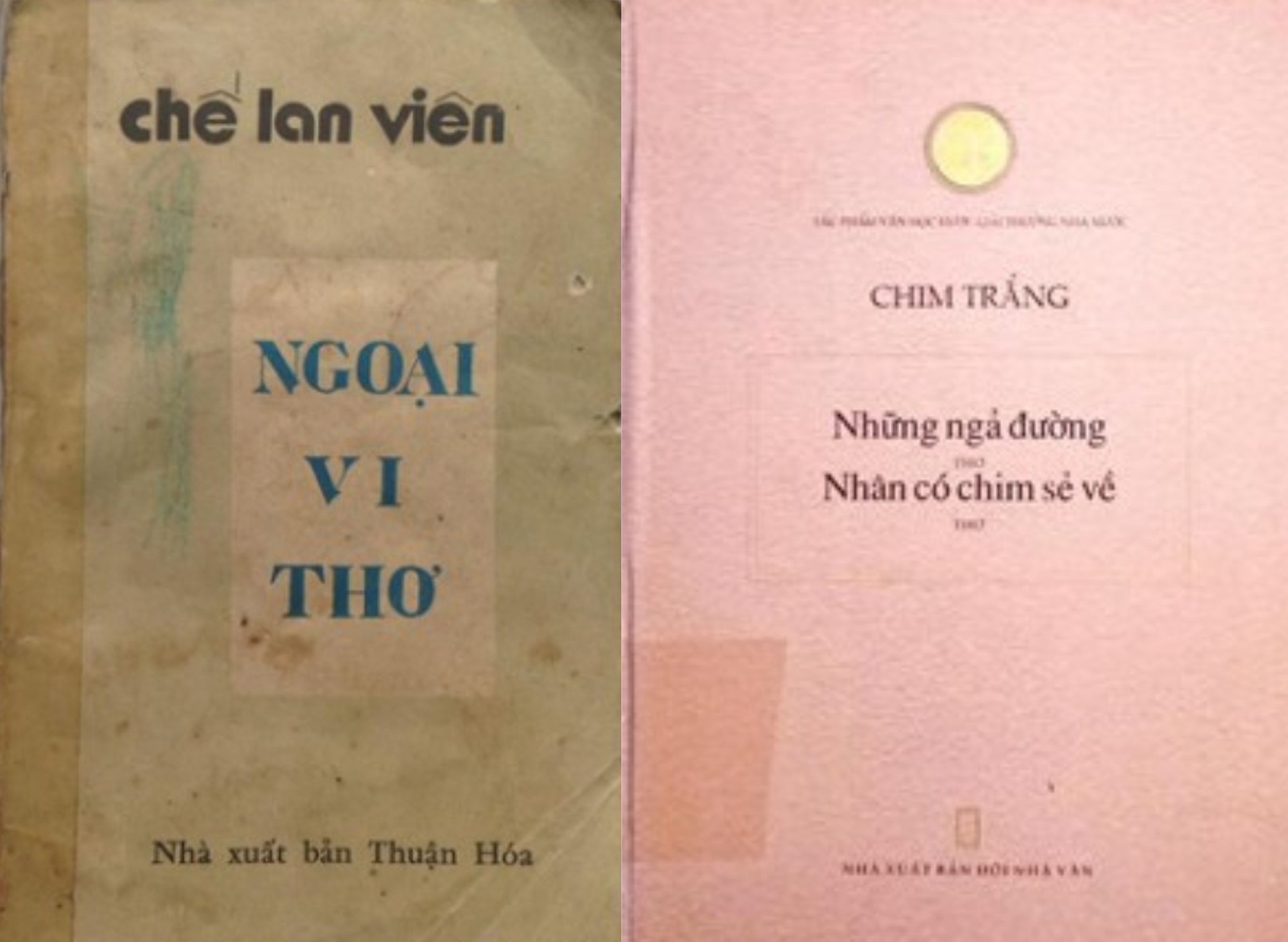 van chuong anh 8