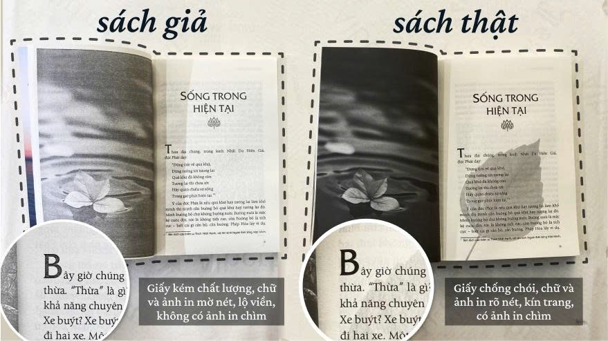 sach gia anh 2