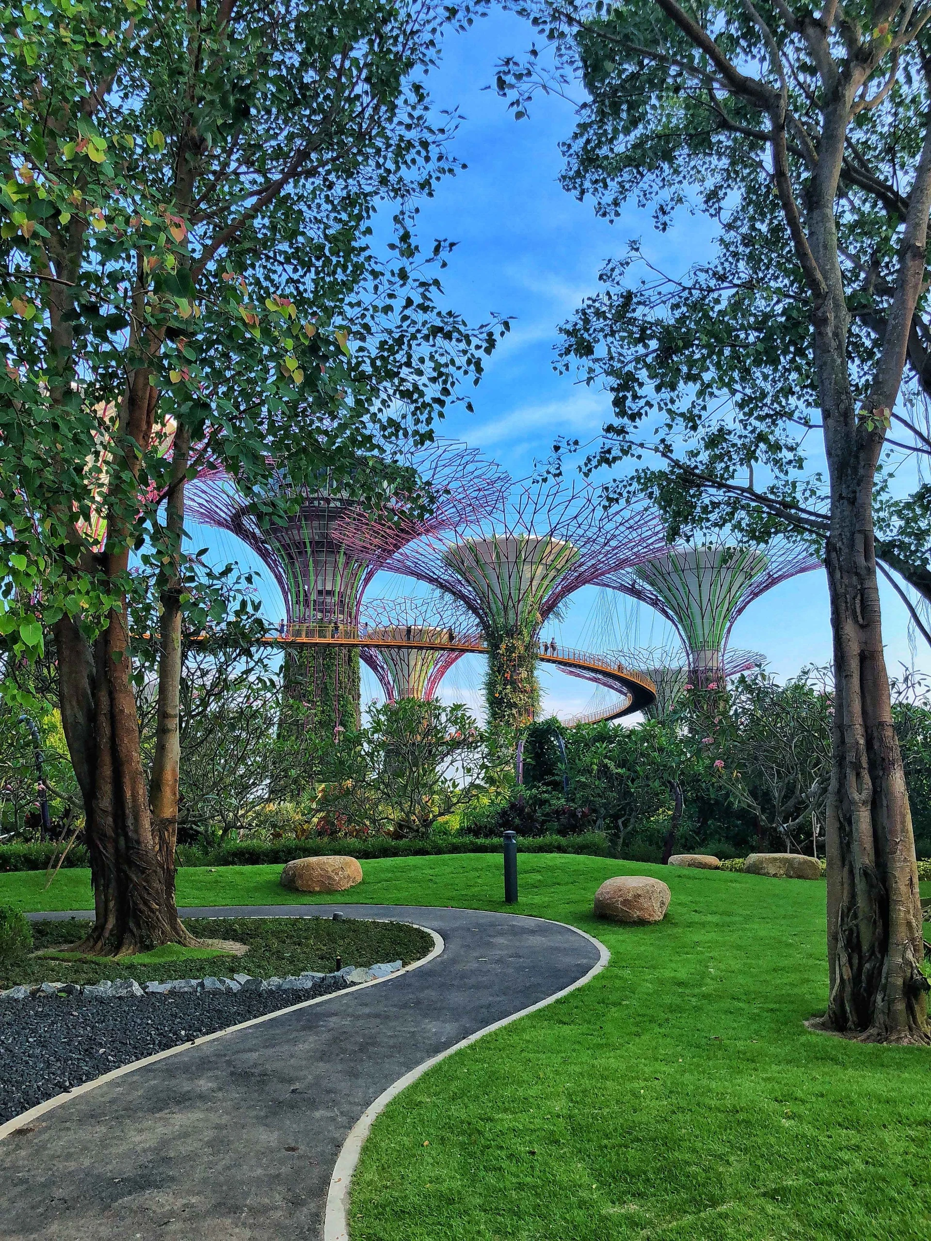 Singapore anh 1