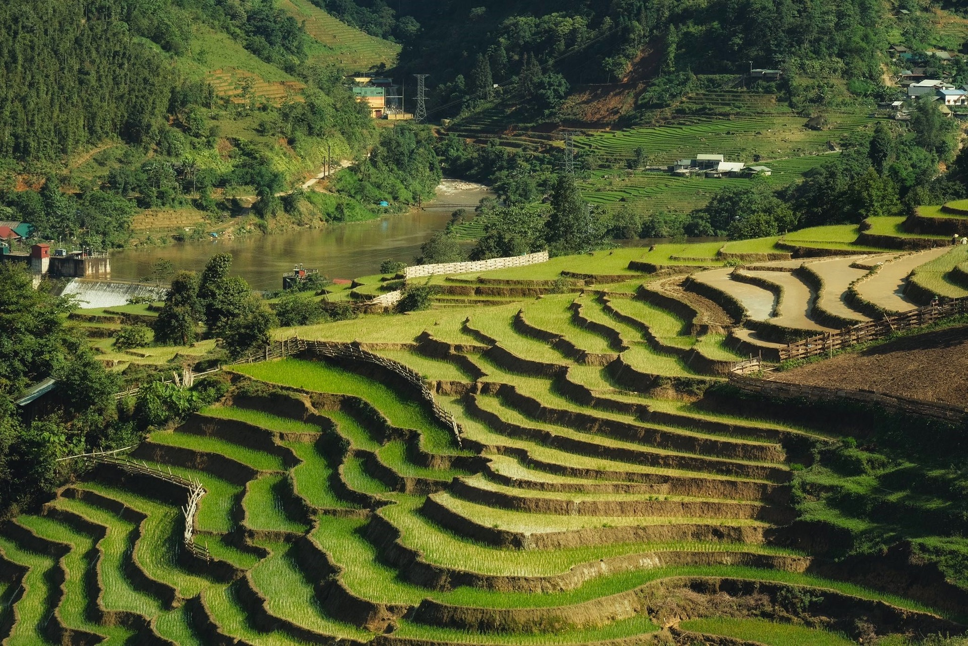 រូបថតរបស់ Y Ty Travel