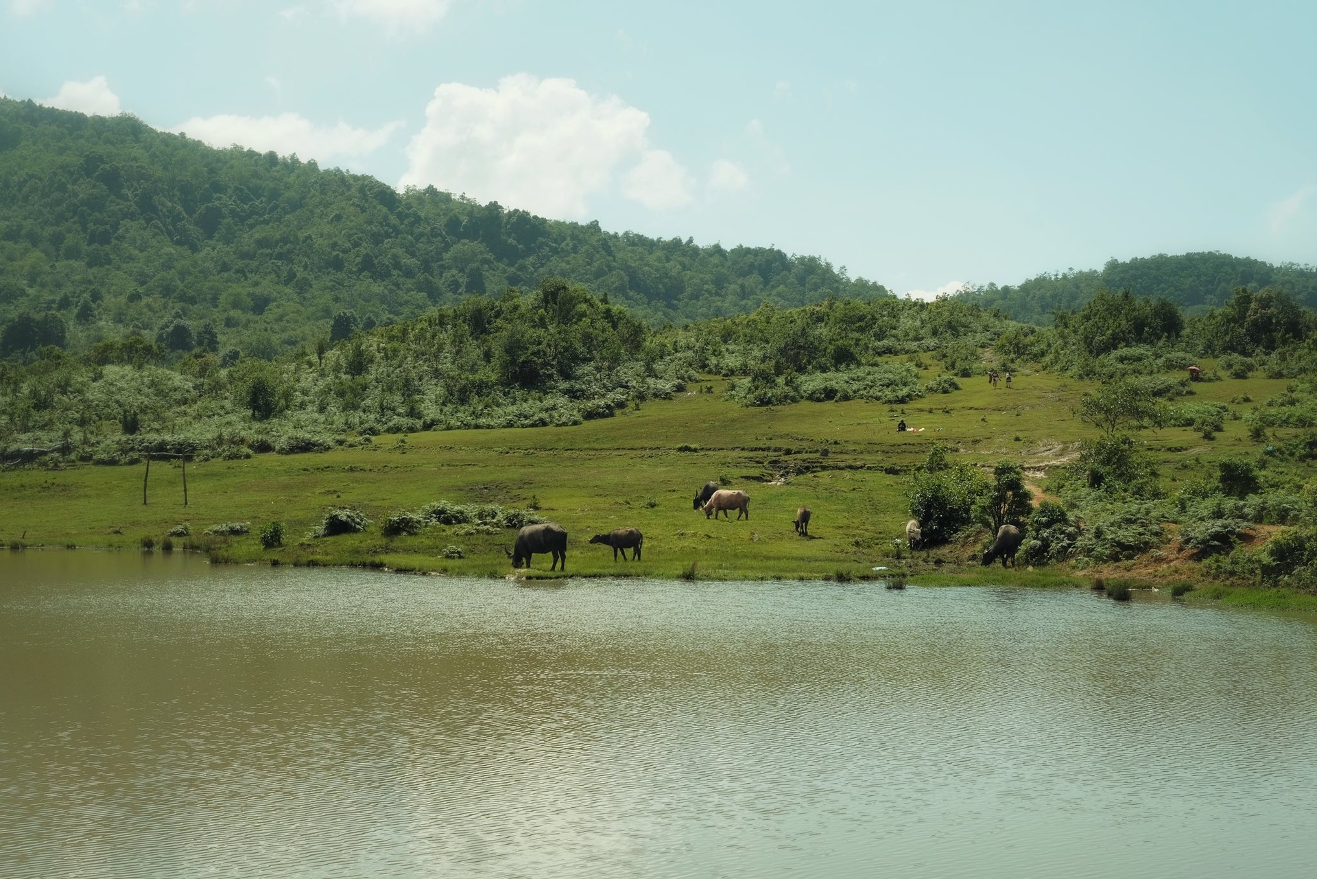 រូបថតរបស់ Y Ty Travel