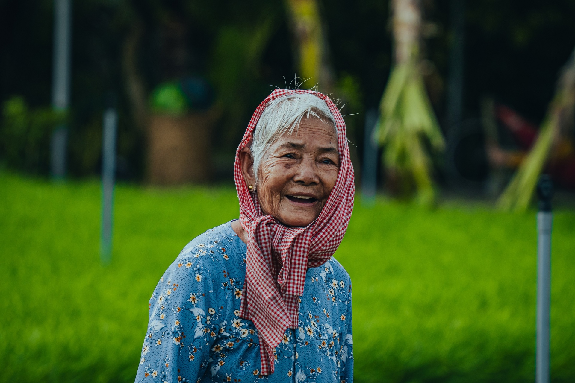 du lich Vinh Long anh 10