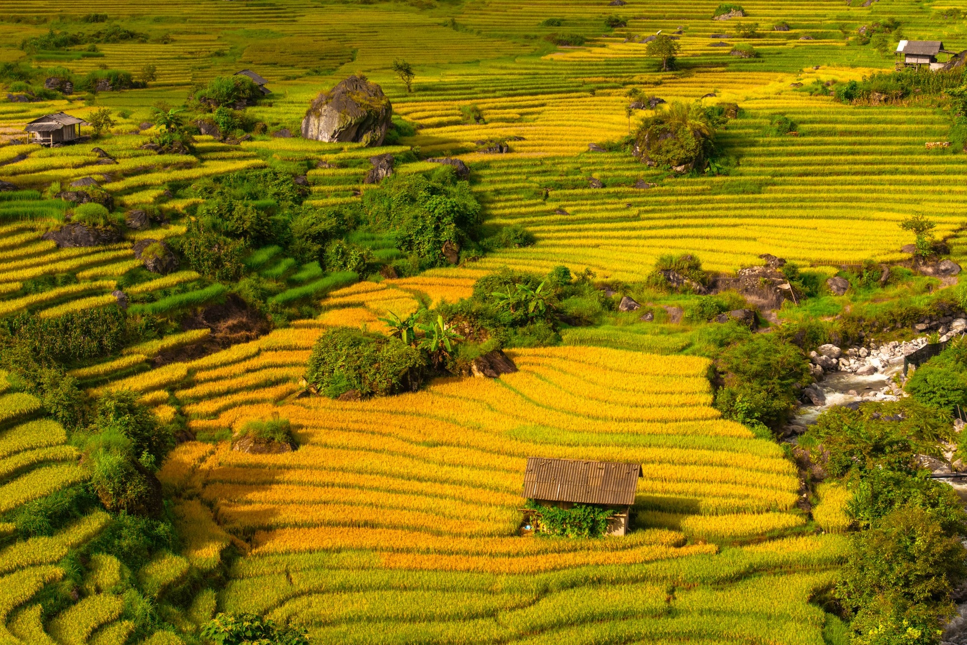 Nậm Cang  ảnh 13