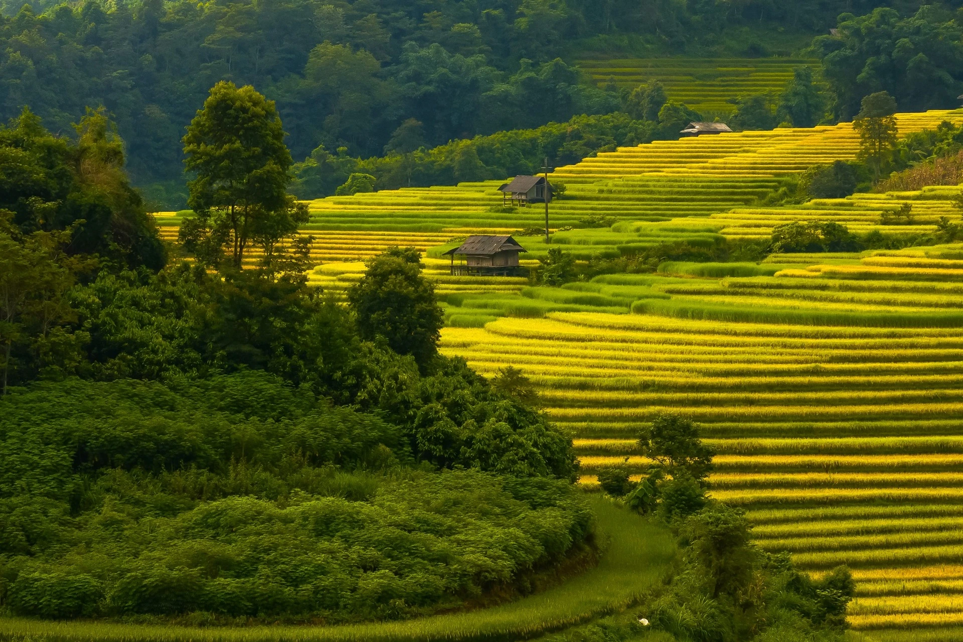 Nậm Cang  ảnh 1
