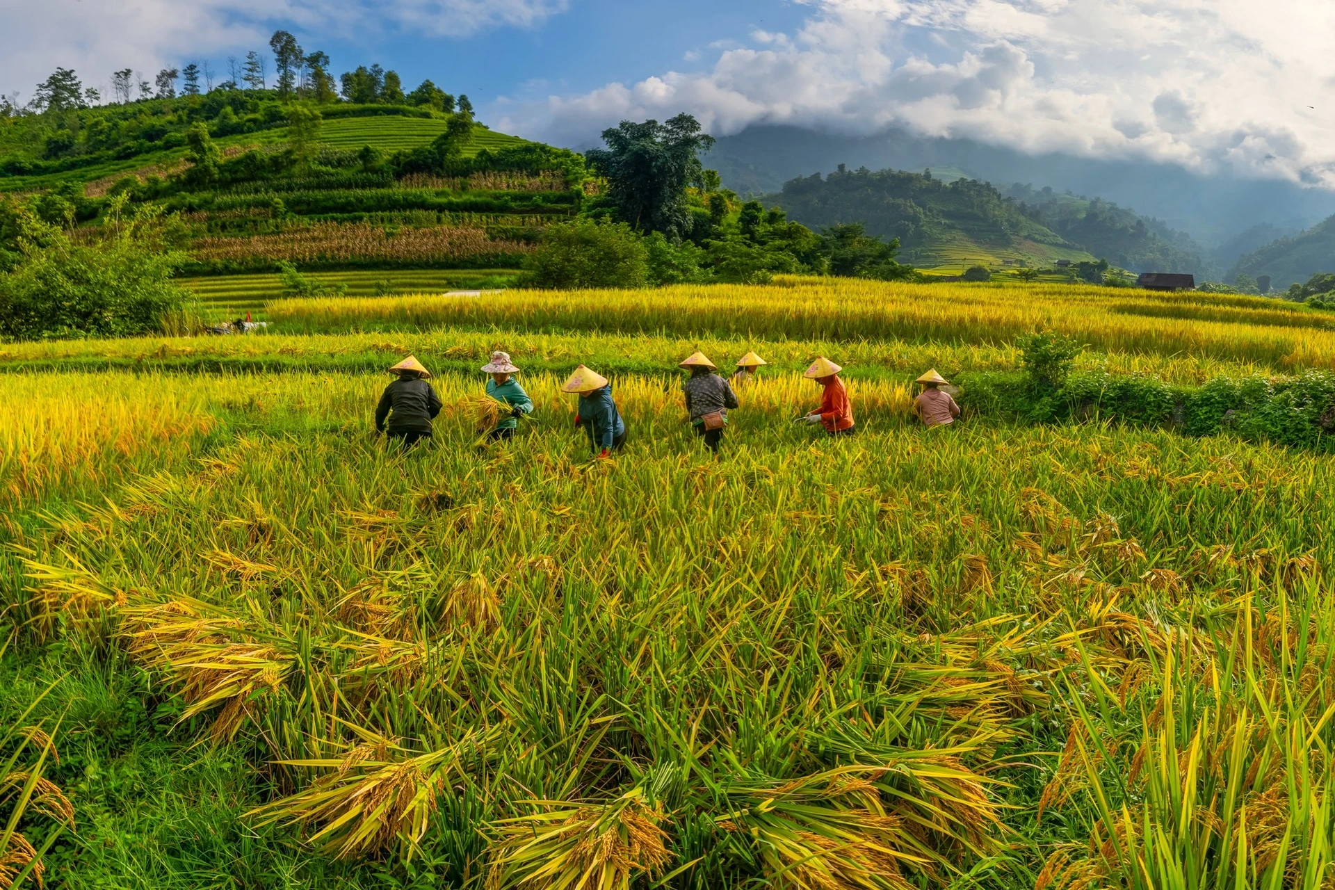 Nậm Cang  ảnh 2