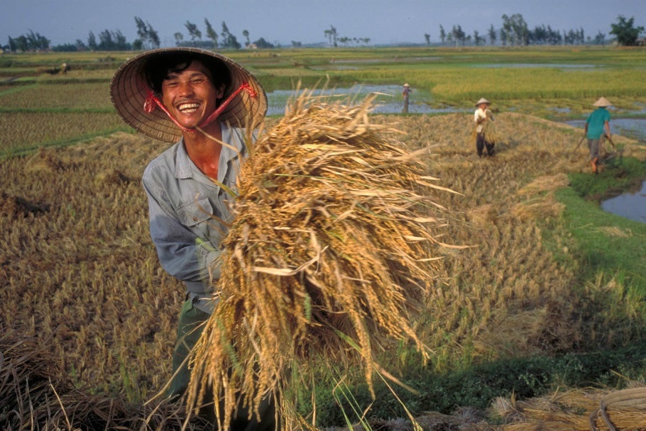 Việt Nam ảnh 13 Việt Nam ảnh 13