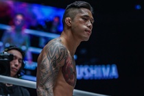 Martin Nguyen se giup suc cho vo si Viet Nam vuon ra the gioi hinh anh