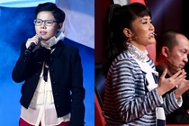 Hong Nhung bi 'nem da' khi thieu cong bang voi Ha Linh hinh anh