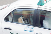 Toc Tien di tap hat bang taxi hinh anh