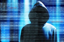 Ban dang gia bao nhieu tren dark web? hinh anh