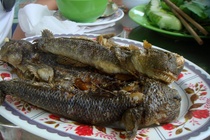 4 dac san tru danh khong phai ai cung dam dong dua hinh anh