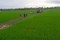 Mot phu nu bi set danh chet khi dang lam dong hinh anh