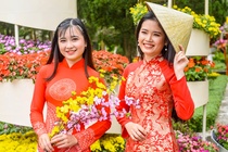 Gioi tre Quang Ngai chuc Tet o cong vien 'khat vong mua xuan' hinh anh
