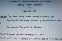 gia dinh 9 lan bi hanh hung cau cuu cap lanh dao TP HCM anh 1