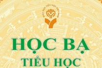 So hoa so diem, hoc ba co cham dut tinh trang 'lam dep' ket qua? hinh anh
