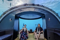 Vo chong Viet Huong thue villa 2 tang duoi bien gia 12.500 USD/dem hinh anh