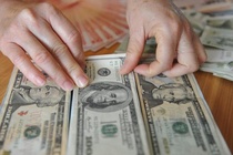 Cong ty von 5 ty vay nuoc ngoai 1.400 ty dong, chiu lai suat 20%/nam hinh anh