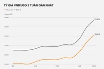 Nguyen nhan ty gia VND/USD tang manh anh 1