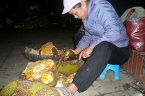 Hoa quả thối được hồi sinh như thế nào