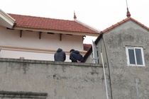 Những tình tiết lạ vụ chú rể bị sát hại sau đêm tân hôn