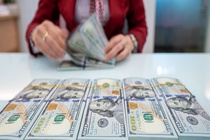 WB: 'Việt Nam có thể cân nhắc nới biên độ tỷ giá USD/VNĐ hơn nữa'
