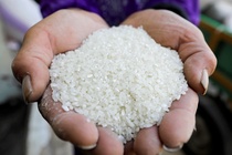 Xung dot An Do - Pakistan de doa nguon cung gao hinh anh