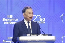 'Chu dong kien ​​tao hoa binh, phat trien trong mot the gioi nhieu bien dong' hinh anh