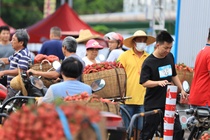 Gia qua vai re hon cong hai o Trung Quoc hinh anh