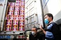 Thanh long được xuất khẩu trở lại qua cửa khẩu Lào Cai