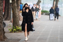 Di lam hon 100 km/ngay, bo nha 'thao chay' vi o nhiem khong tho noi hinh anh