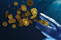 Ca voi Bitcoin thuc giac hinh anh