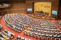Sang nay, 3 Pho thu tuong cung cac tu lenh nganh tra loi chat van hinh anh