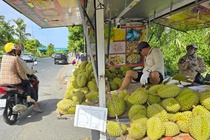 Sau rieng ‘re nhu beo’ ban day via he hinh anh