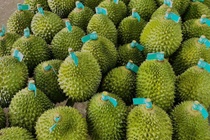 Loi giai cho sau rieng Viet Nam hinh anh